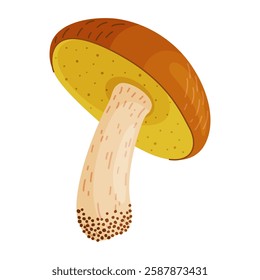 Suillus luteus, yellow mushroom. Edible forest fungus slippery jack or sticky bun. Suillus mushroom or yellow pig Hand drawn trendy flat style isolated icon. Vector illustration