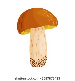 Suillus luteus, yellow mushroom. Edible forest fungus slippery jack or sticky bun. Suillus mushroom or yellow pig Hand drawn trendy flat style isolated icon. Vector illustration