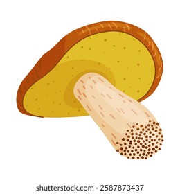 Suillus luteus, yellow mushroom. Edible forest fungus slippery jack or sticky bun. Suillus mushroom or yellow pig Hand drawn trendy flat style isolated icon. Vector illustration