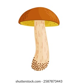 Suillus luteus, yellow mushroom. Edible forest fungus slippery jack or sticky bun. Suillus mushroom or yellow pig Hand drawn trendy flat style isolated icon. Vector illustration