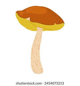 Suillus mushroom. Edible fungus. Hand drawn trendy flat style isolated on white background. Autumn forest harvest, healthy organic food, vegetarian food. Vector illustration