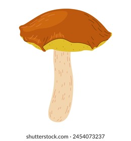 Suillus mushroom. Edible fungus. Hand drawn trendy flat style isolated on white background. Autumn forest harvest, healthy organic food, vegetarian food. Vector illustration