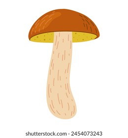 Suillus mushroom. Edible fungus. Hand drawn trendy flat style isolated on white background. Autumn forest harvest, healthy organic food, vegetarian food. Vector illustration