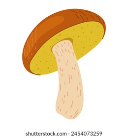 Suillus mushroom. Edible fungus. Hand drawn trendy flat style isolated on white background. Autumn forest harvest, healthy organic food, vegetarian food. Vector illustration