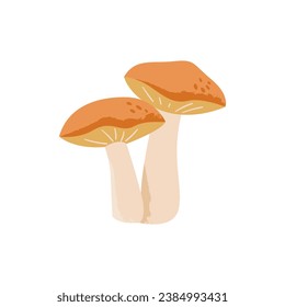 Suillus mushroom. Edible fungus. Vector cartoon illustration with texture isolated on the white background.