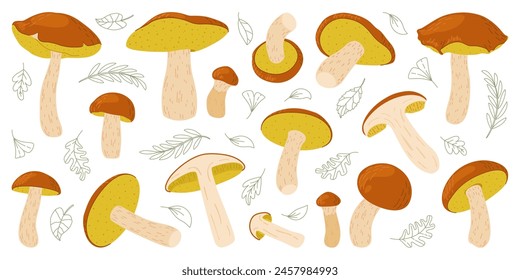 Suillus mushroom set. Edible fungus. Hand drawn trendy flat style mushroom collection isolated on white background. Autumn forest harvest, healthy organic food, vegetarian food. Vector illustration