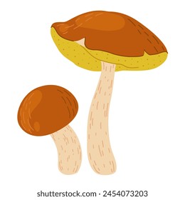 Suillus mushrooms. Edible fungus. Hand drawn trendy flat style isolated on white background. Autumn forest harvest, healthy organic food, vegetarian food. Vector illustration