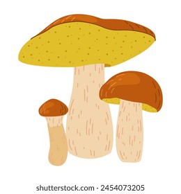 Suillus mushrooms. Edible fungus. Hand drawn trendy flat style isolated on white background. Autumn forest harvest, healthy organic food, vegetarian food. Vector illustration