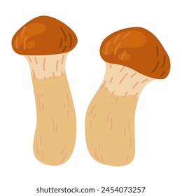 Suillus small mushroom. Edible fungus. Hand drawn trendy flat style isolated on white background. Autumn forest harvest, healthy organic food, vegetarian food. Vector illustration