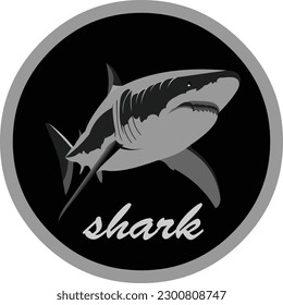 suitable for company logos or community lovers, shark conservation. or a company that uses a shark logo as its character