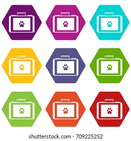 Suitcase for animals icon set many color hexahedron isolated on white vector illustration