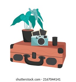 Suitcase with a camera and a flower pot. Retro style. The concept of Travel, vacation, Retro accessories. Vector illustration.