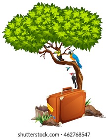 Suitcase and many birds on the tree illustration