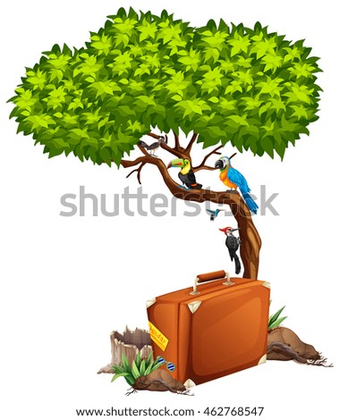 Suitcase and many birds on the tree illustration