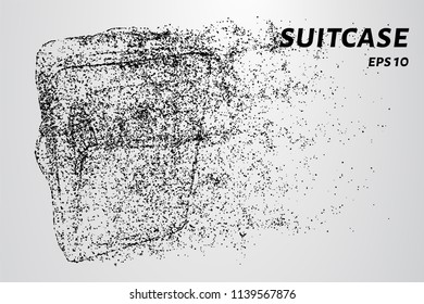 Suitcase of particles. The suitcase consists of dots and circles