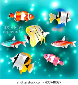 Suite fish vector illustration icons set. Tropical fish, sea fish, aquarium fish set isolated on white background. Sea color flat design fish