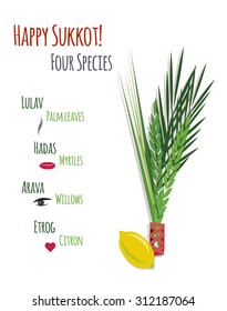 Sukkot Festival greeting card design vector template. Greeting text Happy Sukkot. Traditional Jewish Sukkot holiday four species of fruit & herbs & icon for each symbol meaning. Layered, editable