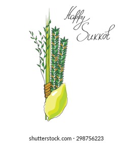 sukkot - four symbols of Jewish holiday Sukkot  species - etrog, willow, palm, myrtle. vector illustration.
