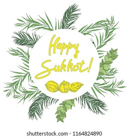 Sukkot Jewish Holiday background. Festive background with hand-written text, branches of myrtle, willow, palm, citron fruits. Vector illustration