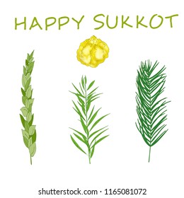 Sukkot Jewish Holiday background. Festive background with hand-written text, branches of myrtle, willow, palm, citron fruits. Vector illustration