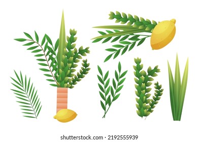 Sukkot religiöser Feiertag. Lula und Etrog. Vier Sukot-Arten. Myrte oder Tabernacles. Arava Fest. Zitronenblatt. Pflanzenzüge. Jüdische traditionelle festliche Symbole. Vektorsukkah-Symbole