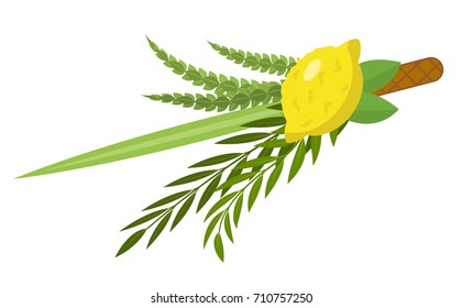 Sukkot set of herbs and spices of the etrog, lulav, Arava, Hadas. Isolated on white background. Vector illustration