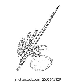 Ilustración vectorial de línea de símbolos tradicionales de Sucot para Netilat Lulav. Blanco y negro cuatro especies etrog, hadass, aravah o ramas de sauce y mirto, citrón, palma frondosa para el ritual de vacaciones judías