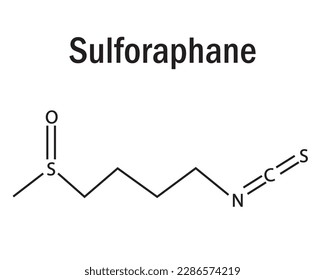 Sulforaphane amino acid  formula and structure. Chemical molecular formula  of sulforaphane. Study content for science students. Vector illustration.