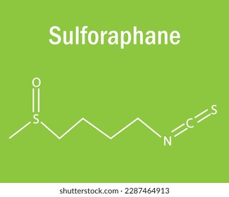 Sulforaphane Aminosäure-Formel und Struktur. Chemische molekulare Formel von Sulforaphan. Studieren Sie Inhalte für Wissenschaftsstudenten. Vektorgrafik.