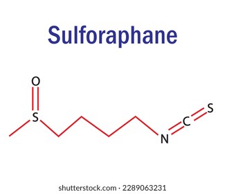 Fórmula y estructura del aminoácido sulforafano. Fórmula molecular química del sulforafano. Contenido de estudio para estudiantes de ciencias. Ilustración vectorial.
