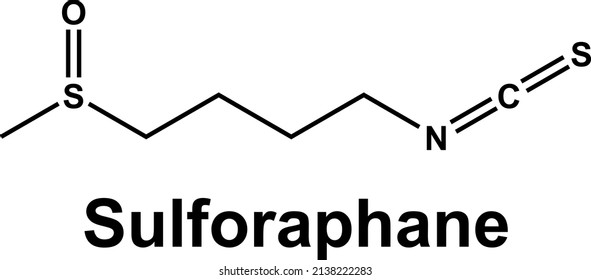 Sulforaphane molecule cruciferous vegetables component. Chemical formula.