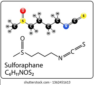 Sulforaphane Molecule Structure