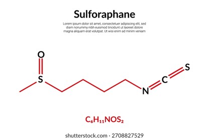 Sulforaphan, organische Verbindung, Formel der Molekülstruktur, geeignet für Bildungsinhalte oder für Inhalte der Chemie. Vektorgrafik