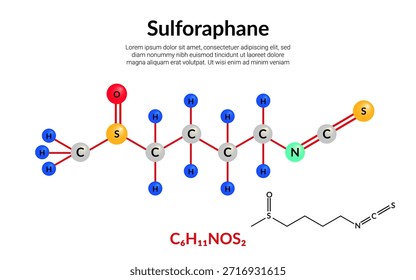 Sulforafano, composto orgânico, fórmula de estrutura molecular, modelo bola-e-vara, adequado para a educação ou conteúdo da ciência química. Ilustração vetorial