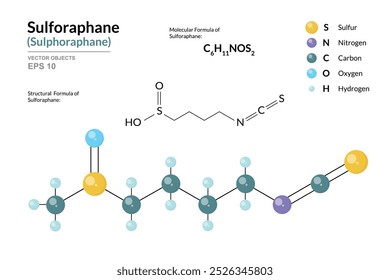 Sulforafano. Fórmula química estructural y modelo 3d de molécula. C6H11NOS2. Átomos con codificación de color. Vector gráfico Ilustración para materiales educativos, artículos científicos y presentaciones