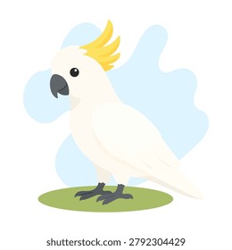 Sulphur-crested cockatoo standing in flat vector style. Sulphur-crested cockatoo illustration featuring Cacatua galerita bird.