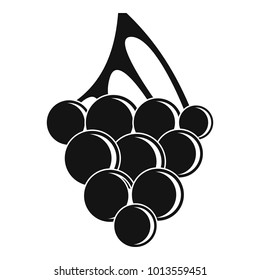 Sultana grape icon. Simple illustration of sultana grape vector icon for web