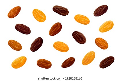 Sultanas, Golden and brown Thompson raisins isolated on white background. Realistic vector illustration.