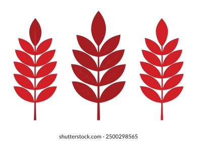 Sumac Leaf Color Art Study of Unique Leaf Patterns