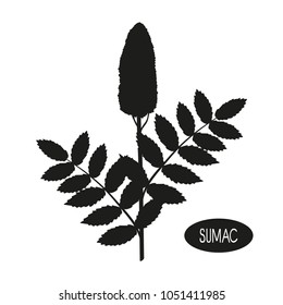 Sumac. Plant. Inflorescence, leaves. Black silhouette on white background.