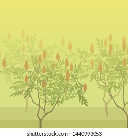 Sumac Tree. Ripe berries on this tree, for oriental spices. Rhus - garden decoration. Botanical illustration