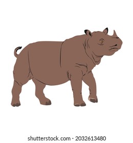 Sumatra Rhinoceros, Asian Two Horned Rhinoceros Is Also Known As Hairy Rhino. This Species, Dicerothinus Sumatrensis Is The Smallest Of Living Rhino.