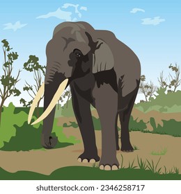 Sumatran elephant vector illustration 01