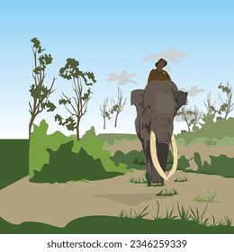 Sumatran elephant vector illustration 02