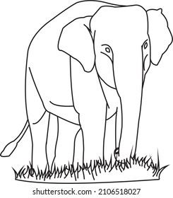 Elefante de Sumatra caminando sobre el césped