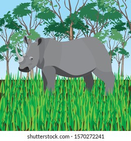 Sumatran Rhino In A Tropical Field 