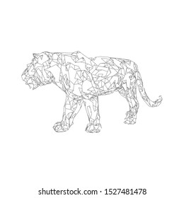 Sumatran tiger Low poly vector