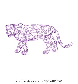 Sumatran tiger Low poly vector