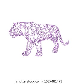 Sumatran tiger Low poly vector