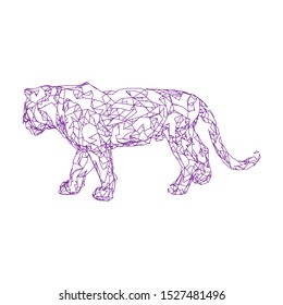 Sumatran tiger Low poly vector